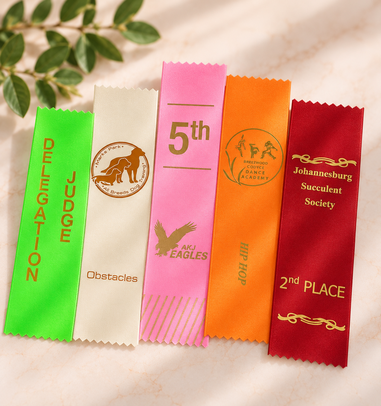 Colourful school and sports award ribbons printed with judge, place, dance academy and society wording